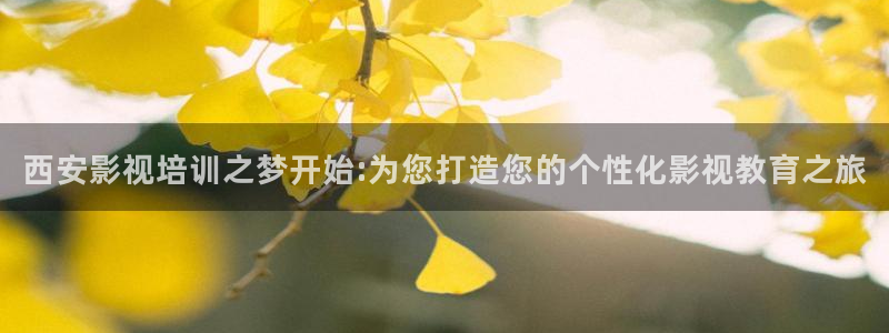 星空电影走廊：西安影视培训之梦开始:为您打造您的个性化影视教育之旅