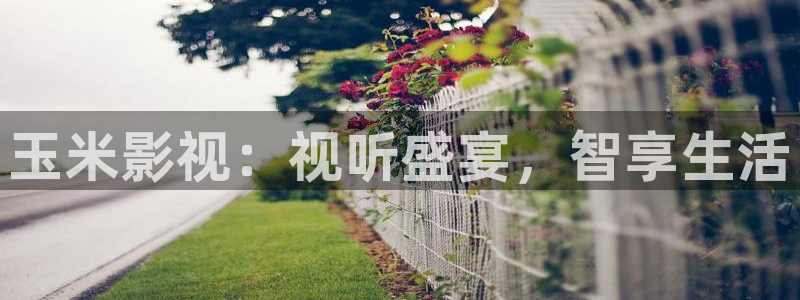 星空传媒免费观看：玉米影视：视听盛宴，智享生活