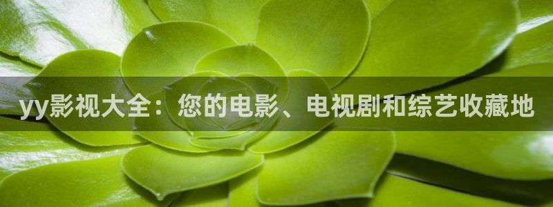 影视厅星空顶图片：yy影视大全：您的电影、电视剧和综艺收藏地