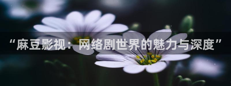 星空影视频道节目表在线：“麻豆影视：网络剧世界的魅力与深度”