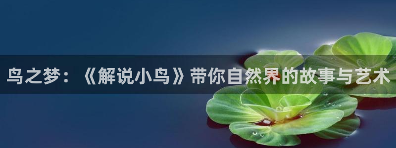 星空 影视