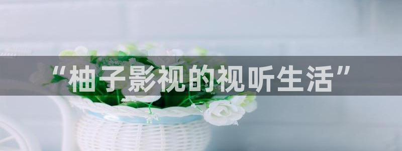 请叫我总监星空影院：“柚子影视的视听生活”