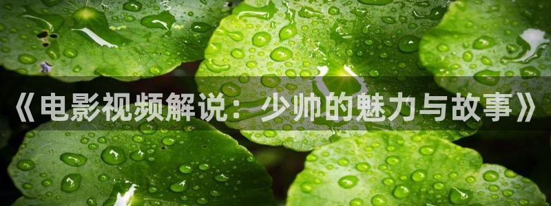星空影视免费在线播放