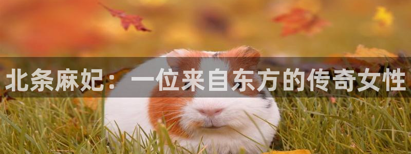 星空影院免费观看电视剧手机怎么看：北条麻妃：一位来自东方的传奇女性