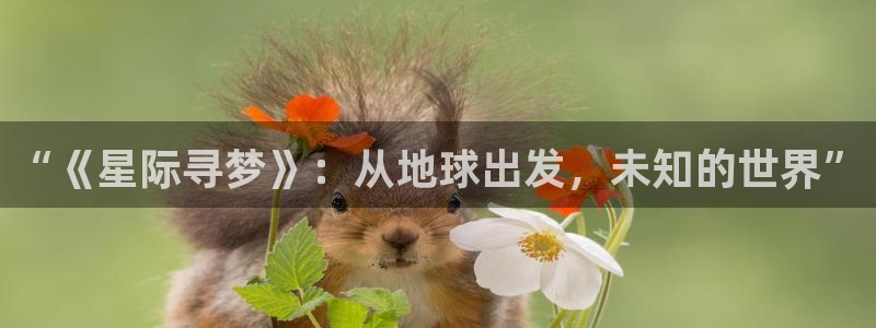 星空影视大全免费观看高清：“《星际寻梦》：从地球出发，未知的世界”