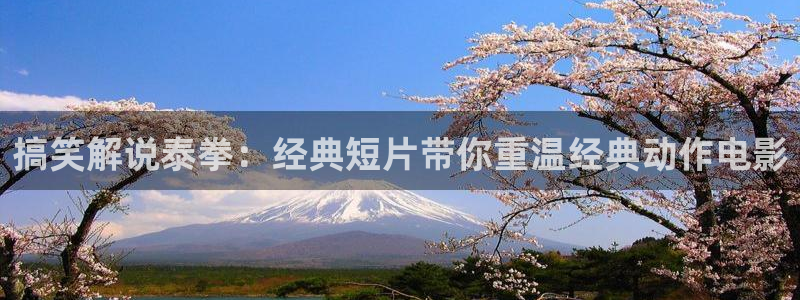 浩瀚星空电影免费观看：搞笑解说泰拳：经典短片带你重温经典动作电影