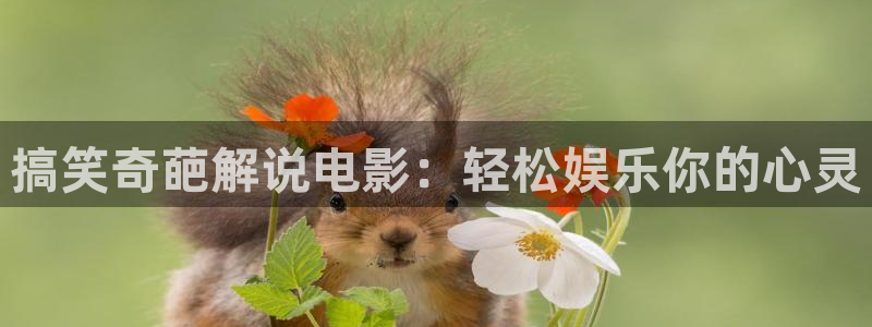 星空传媒免费观看电影：搞笑奇葩解说电影：轻松娱乐你的心灵
