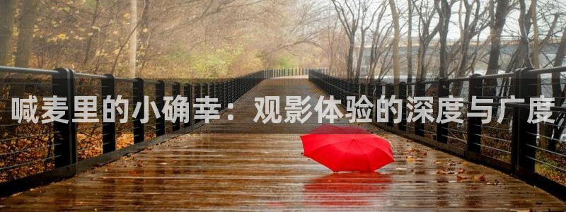 深圳市星空影视有限公司：喊麦里的小确幸：观影体验的深度与广度