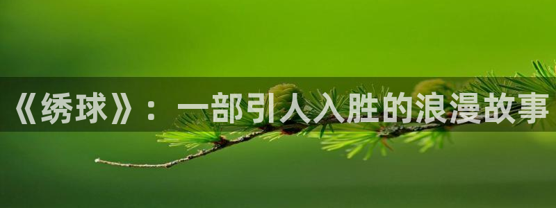 星空天美影院：《绣球》：一部引人入胜的浪漫故事