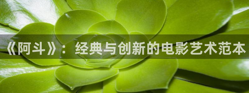 星空影院在线观看全集免费：《阿斗》：经典与创新的电影艺术范本