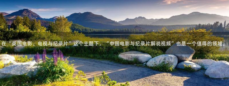 星空影视大全免费观看完整版