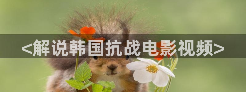 星空影视在线观看免费完整版