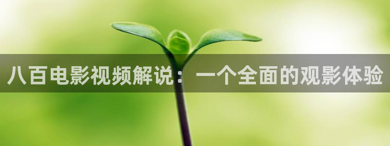 星空在线观看免费高清电视