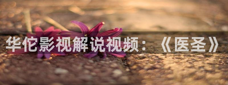 外国电影网站星空电影院：华佗影视解说视频：《医圣》