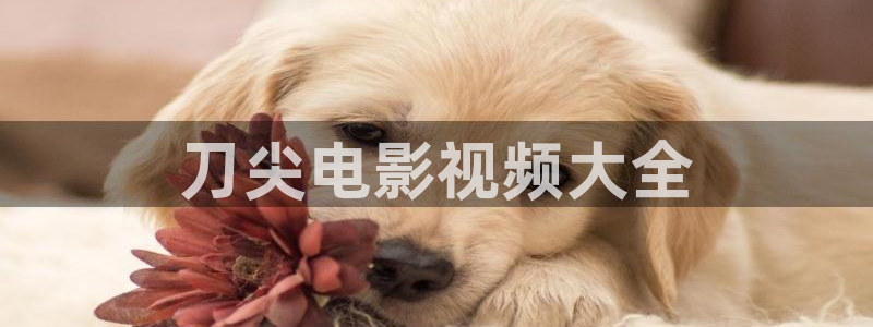 免费观看星空影院