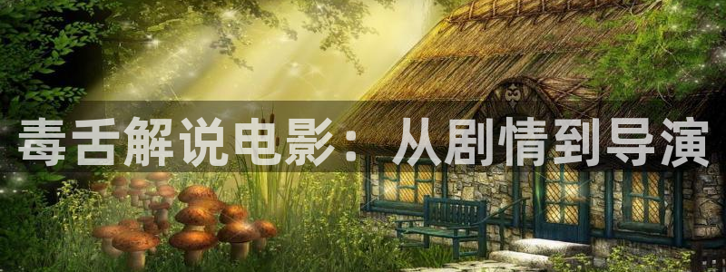 星空影院在线播放免费观看视频：毒舌解说电影：从剧情到导演
