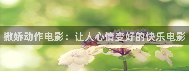 星空影院2024：撒娇动作电影：让人心情变好的快乐电影