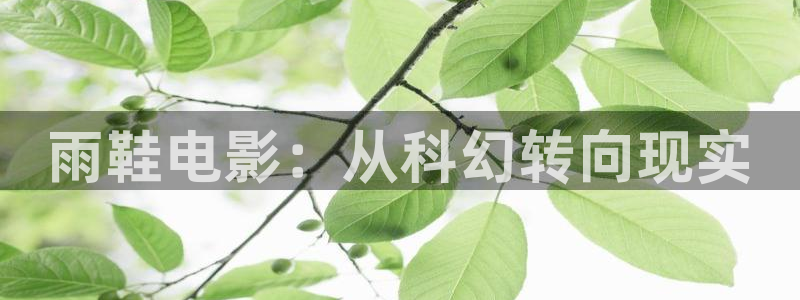 星空视频在线观看完整：雨鞋电影：从科幻转向现实