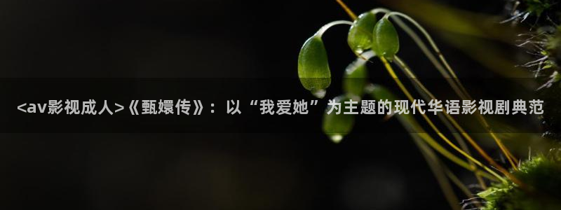 星空影院电影在线观看：<av影视成人>《甄嬛传》：以“我爱她”为主题的现代华语影视剧典范