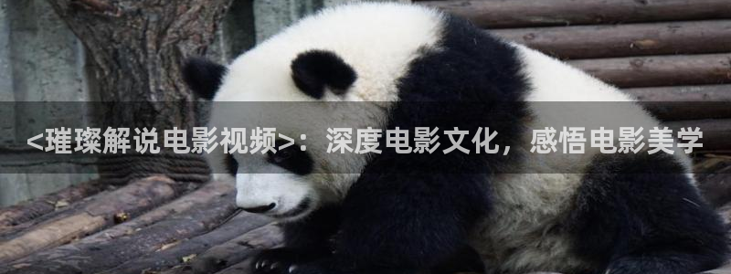 星空影院大全在线观看免费观看：<璀璨解说电影视频>：深度电影文化，感悟电影美学
