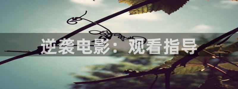 星空传媒免费电影：逆袭电影：观看指导