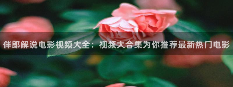 星空影视会员：伴郎解说电影视频大全：视频大合集为你推荐最新热门电影