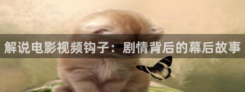 星空传媒影视免费观看：解说电影视频钩子：剧情背后的幕后故事