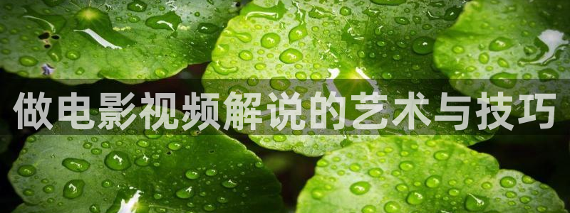 星空电影视频：做电影视频解说的艺术与技巧