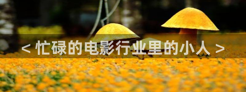 夏至未至电视剧免费观看完整版星空影院：< 忙碌的电影行业里的小人 >