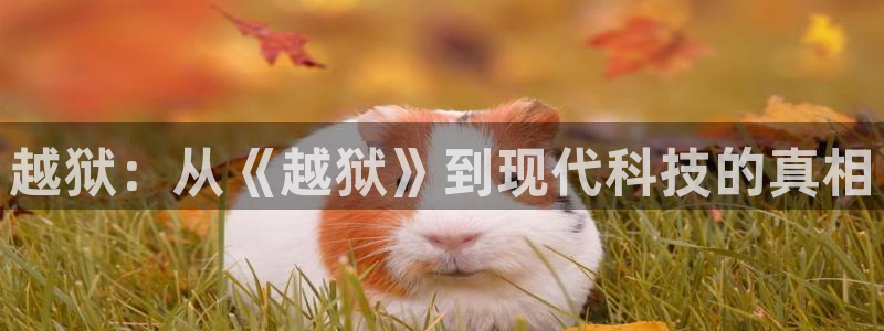 星空影院私人影院：越狱：从《越狱》到现代科技的真相