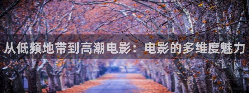 麻豆糖心星空九一：从低频地带到高潮电影：电影的多维度魅力