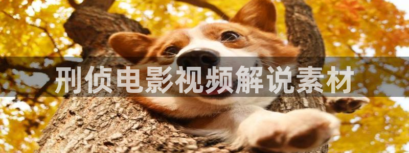 星空影院高清电影热播电视剧：刑侦电影视频解说素材
