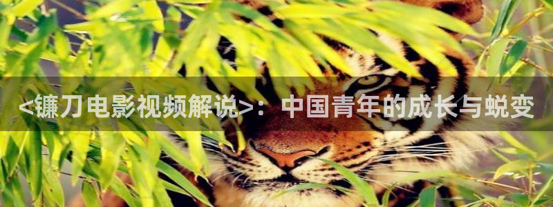 星空影院大全免费观看：<镰刀电影视频解说>：中国青年的成长与蜕变