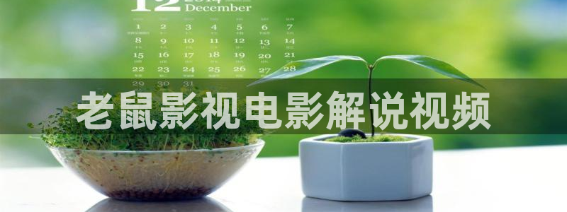 星空影院在线：老鼠影视电影解说视频