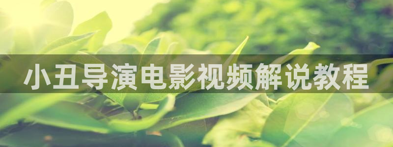 星空影视电视版：小丑导演电影视频解说教程