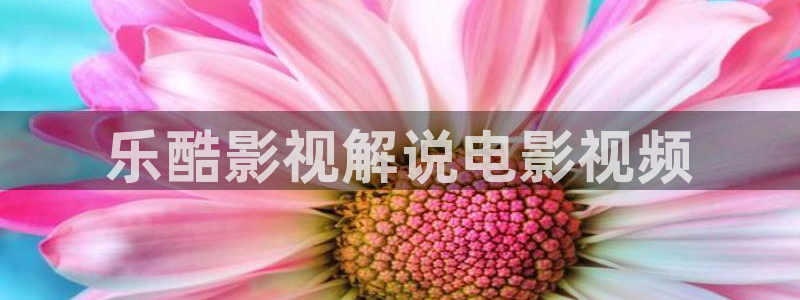 的星空：乐酷影视解说电影视频