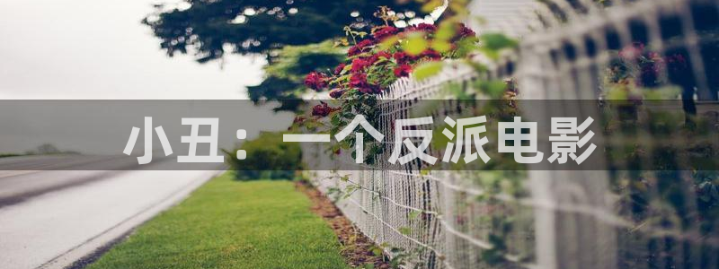星空影院在线观看免费下载：小丑：一个反派电影