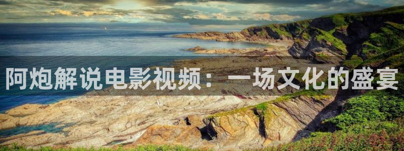 星空盒子影院：阿炮解说电影视频：一场文化的盛宴