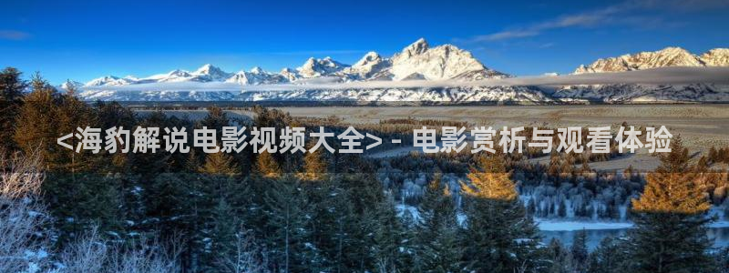 关于星空的画有什么：<海豹解说电影视频大全> - 电影赏析与观看体验