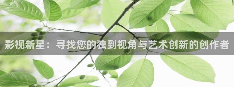 星空影院电影免费观看完整版：影视新星：寻找您的独到视角与艺术创新的创作者