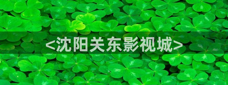 动漫星空影院：<沈阳关东影视城>
