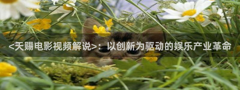星空电影网免费看电影