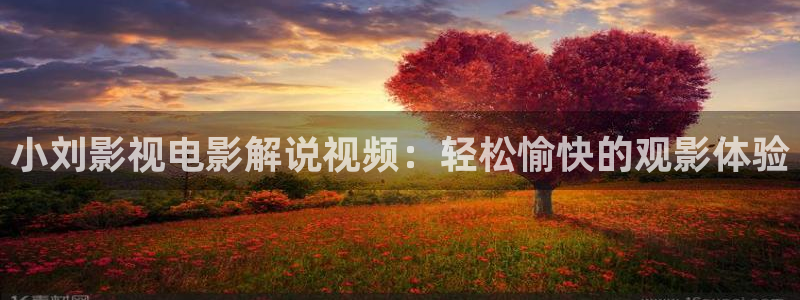 星空影视下载最新版：小刘影视电影解说视频：轻松愉快的观影体验