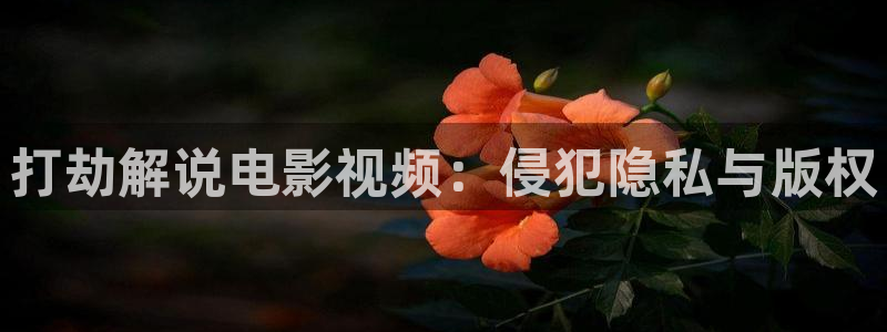 2025星空影院最新电影在线观看：打劫解说电影视频：侵犯隐私与版权
