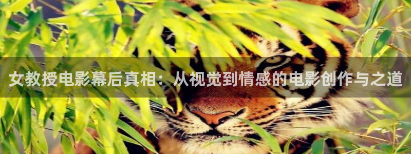 星空影院在线观看免费高清视频：女教授电影幕后真相：从视觉到情感的电影创作与之道