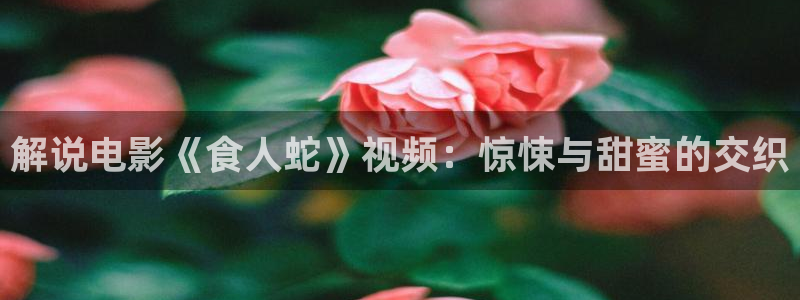 星空影院不卡顿：解说电影《食人蛇》视频：惊悚与甜蜜的交织