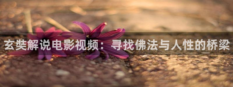 星空影院电影在线免费观看：玄奘解说电影视频：寻找佛法与人性的桥梁