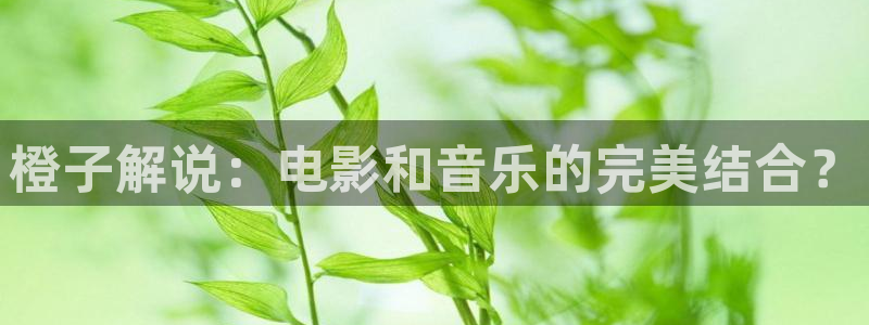 星空影院免费观看电视剧最新版：橙子解说：电影和音乐的完美结合？