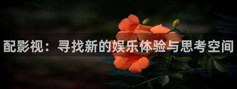 下载星空影院：配影视：寻找新的娱乐体验与思考空间