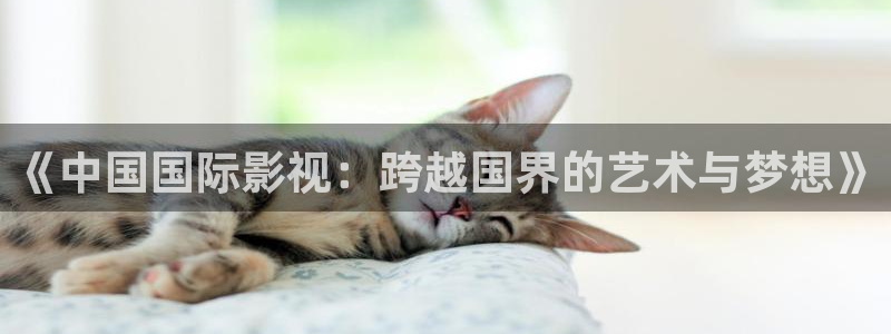 星空影院在线免费：《中国国际影视：跨越国界的艺术与梦想》